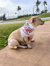 Load image into Gallery viewer, FREE KISSES Dog Bandana
