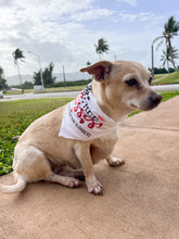 Load image into Gallery viewer, FREE KISSES Dog Bandana
